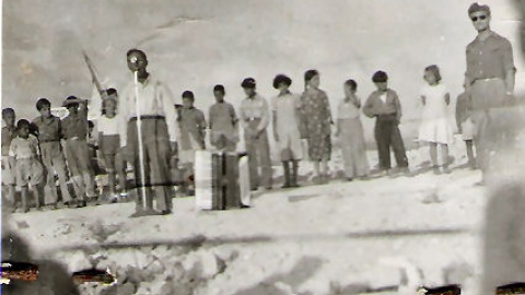 55.jpg