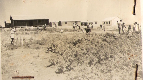 106.jpg
