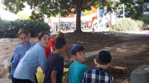 טיפוח שכונות.jpeg