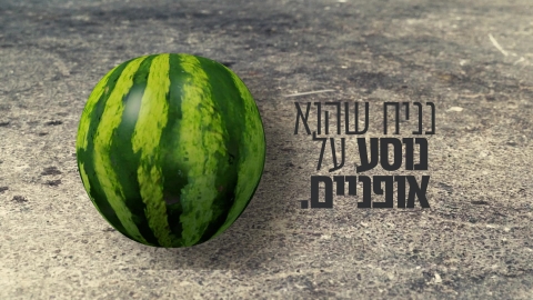 תמונה מתוך סרטון ההסברה.jpg