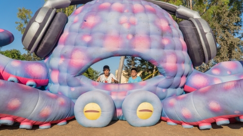 DSC02866.jpg